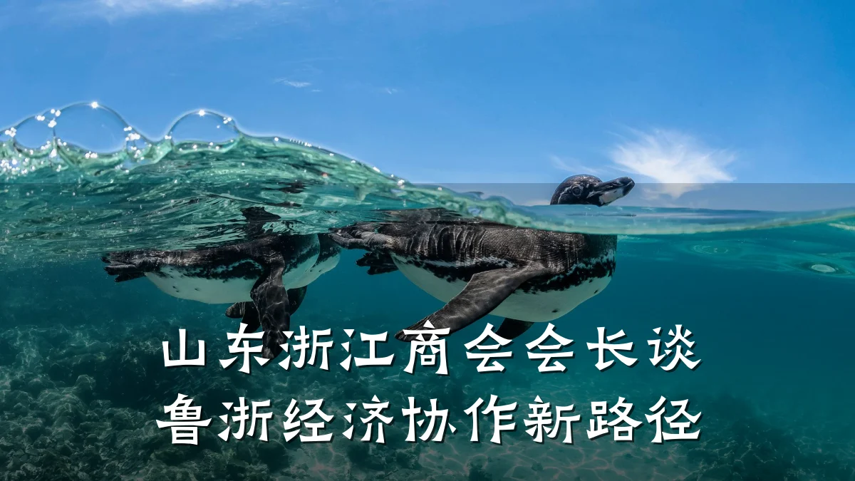 山东浙江商会会长谈鲁浙经济协作新路径