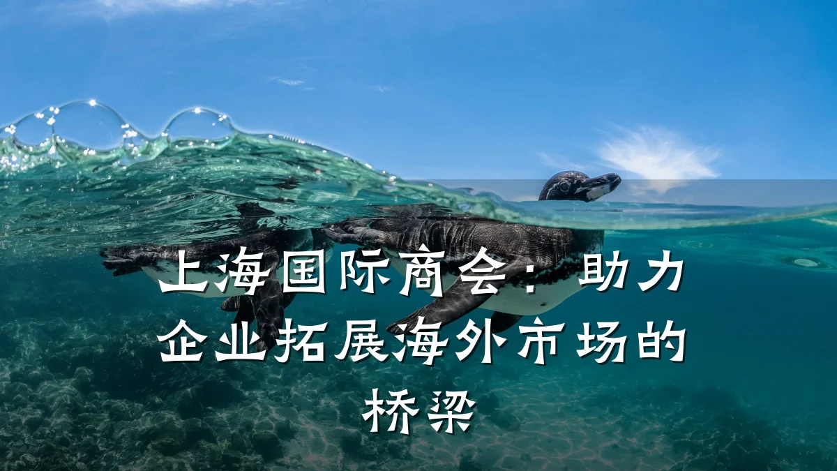 上海国际商会:助力企业拓展海外市场的桥梁
