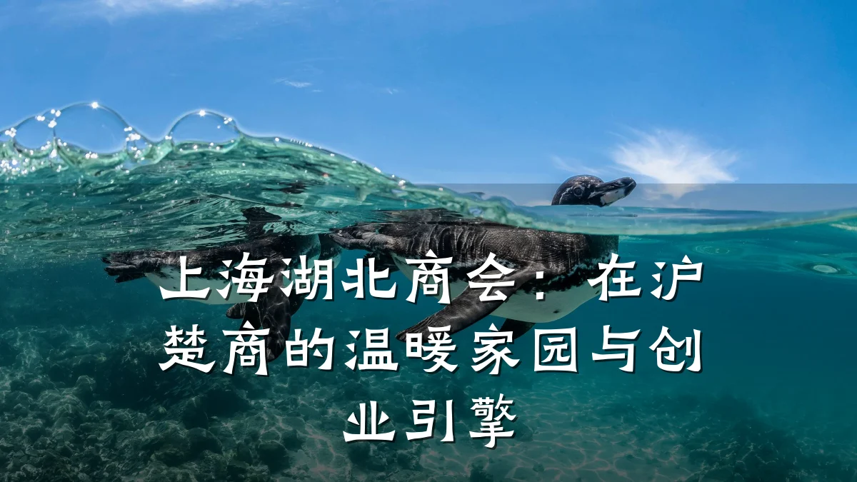 上海湖北商会:在沪楚商的温暖家园与创业引擎