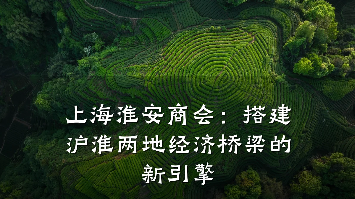 上海淮安商会：搭建沪淮两地经济桥梁的新引擎