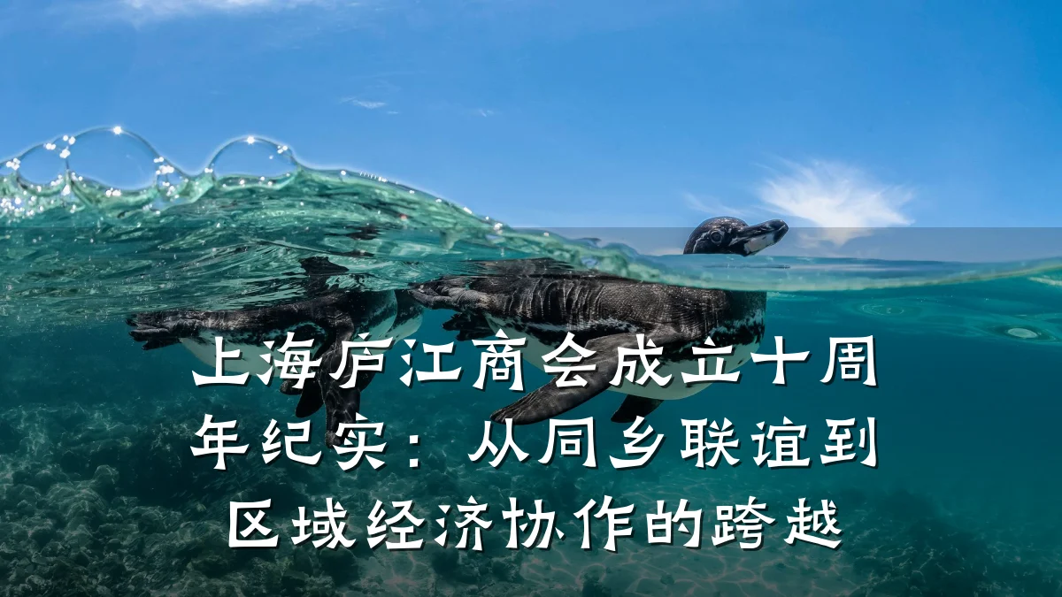 上海庐江商会成立十周年纪实:从同乡联谊到区域经济协作的跨越
