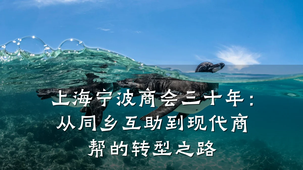 上海宁波商会三十年：从同乡互助到现代商帮的转型之路