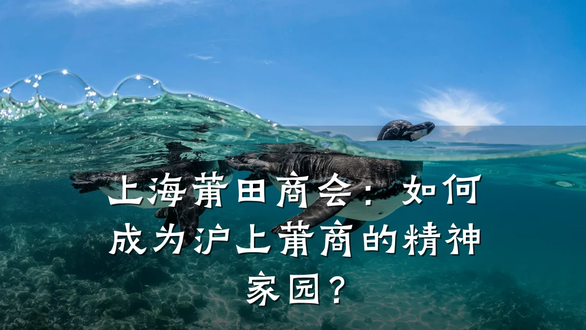 上海莆田商会：如何成为沪上莆商的精神家园？