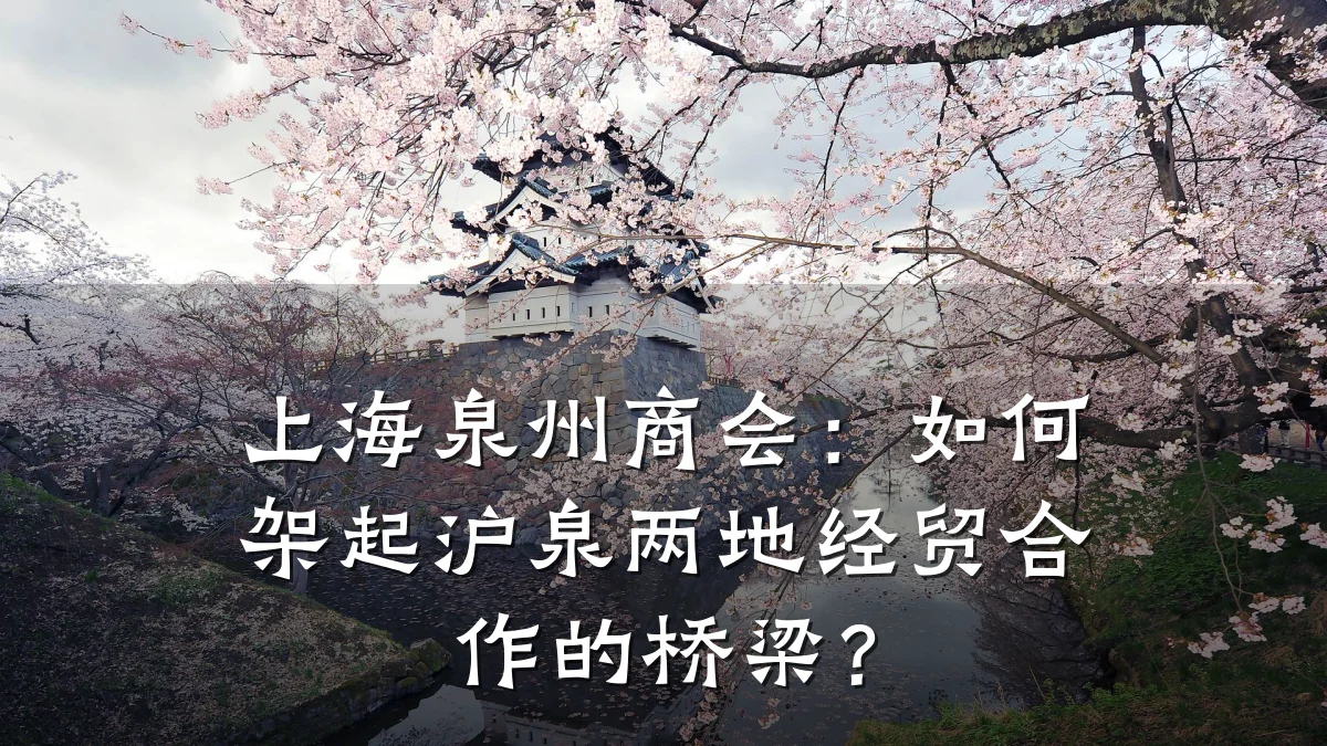 上海泉州商会:如何架起沪泉两地经贸合作的桥梁?