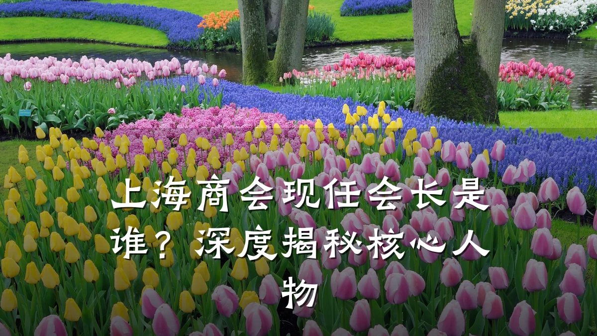 上海商会现任会长是谁?深度揭秘核心人物