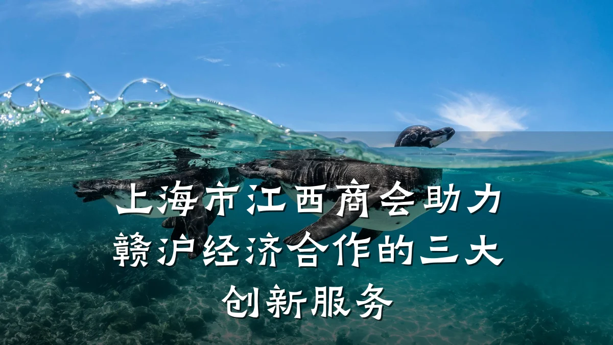 上海市江西商会助力赣沪经济合作的三大创新服务