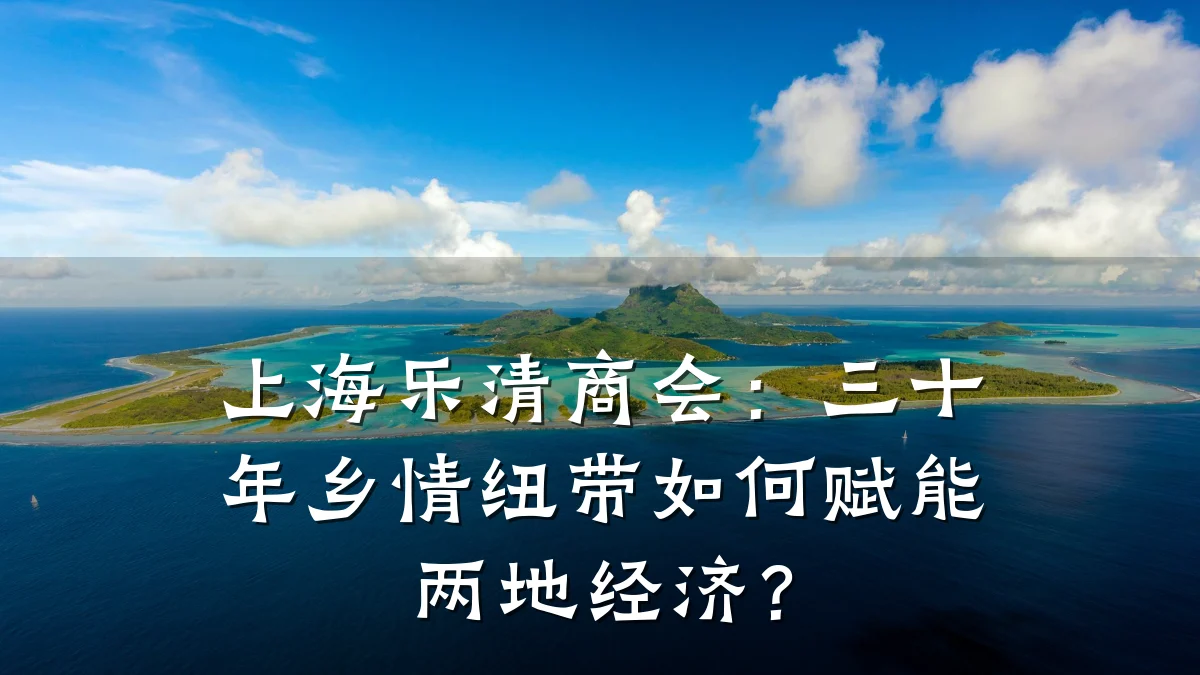 上海乐清商会：三十年乡情纽带如何赋能两地经济？