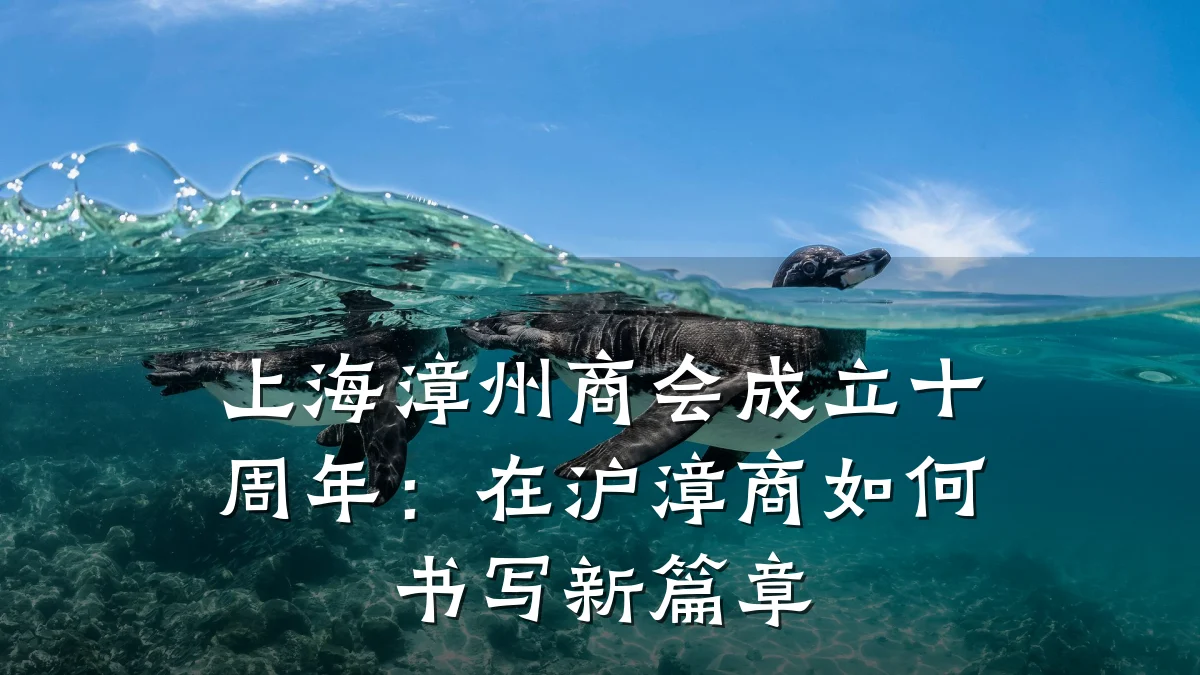 上海漳州商会成立十周年:在沪漳商如何书写新篇章