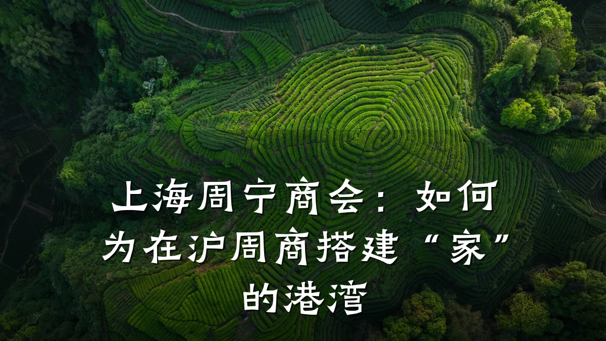 上海周宁商会：如何为在沪周商搭建“家”的港湾