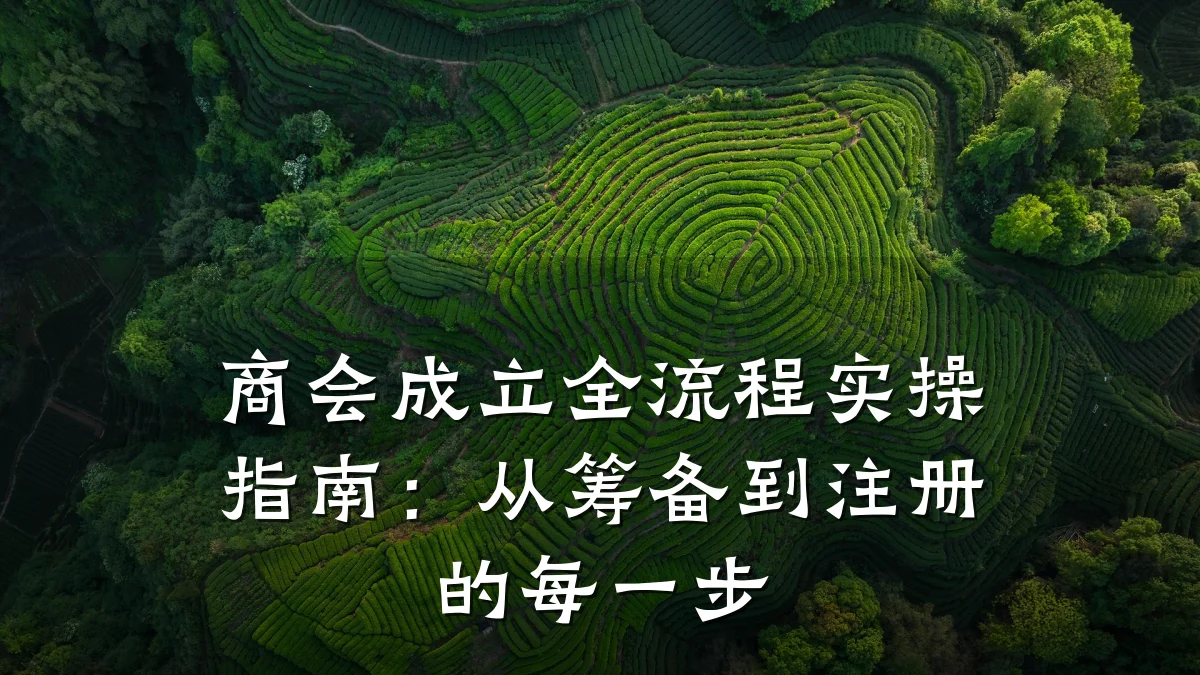 商会成立全流程实操指南:从筹备到注册的每一步