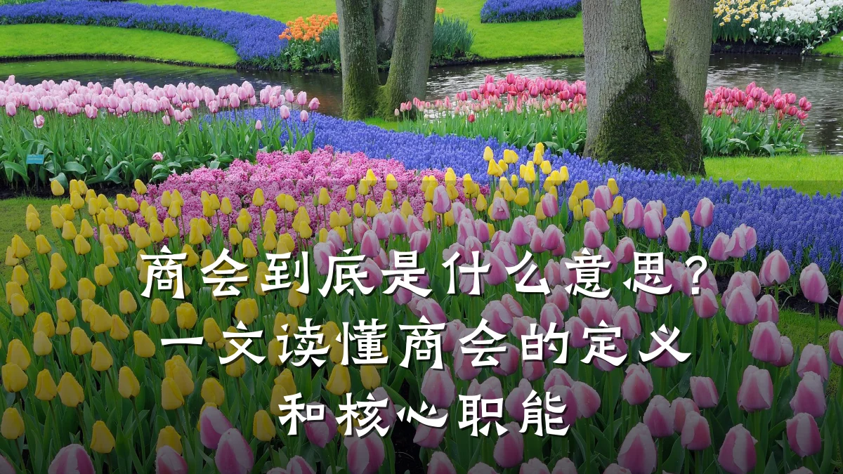商会到底是什么意思？一文读懂商会的定义和核心职能