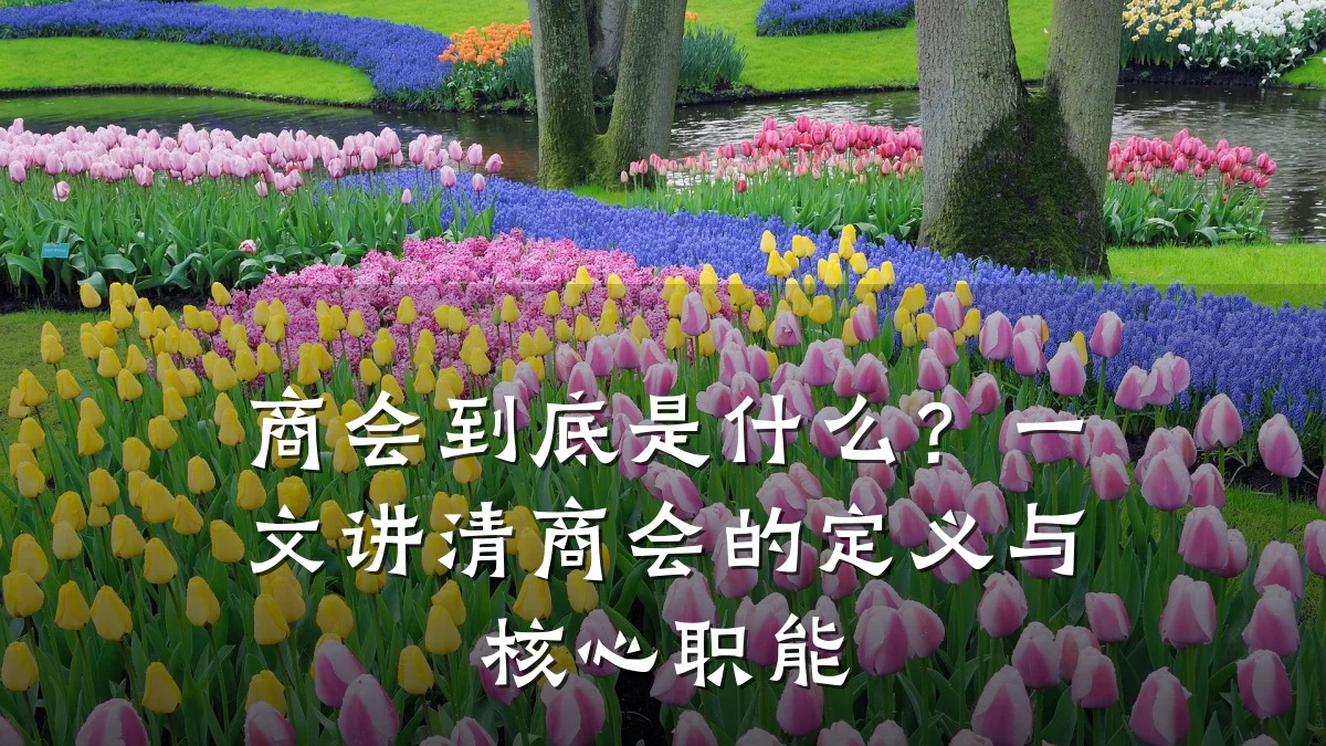 商会到底是什么?一文讲清商会的定义与核心职能