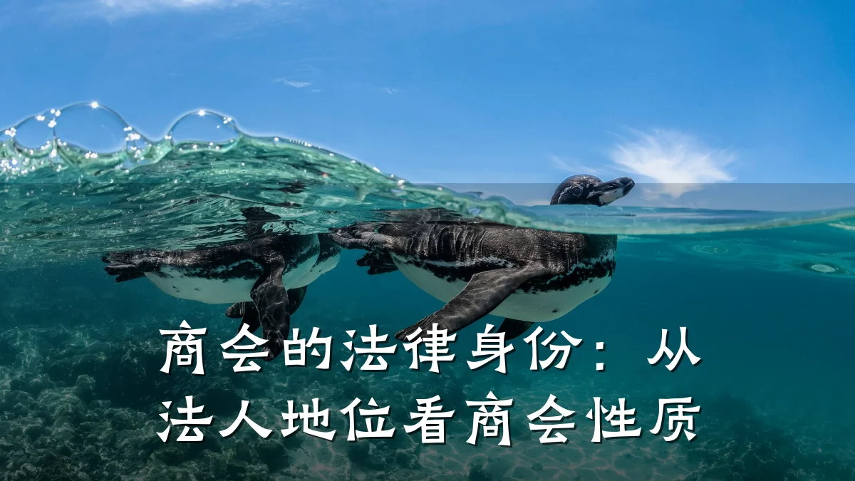 商会的法律身份:从法人地位看商会性质
