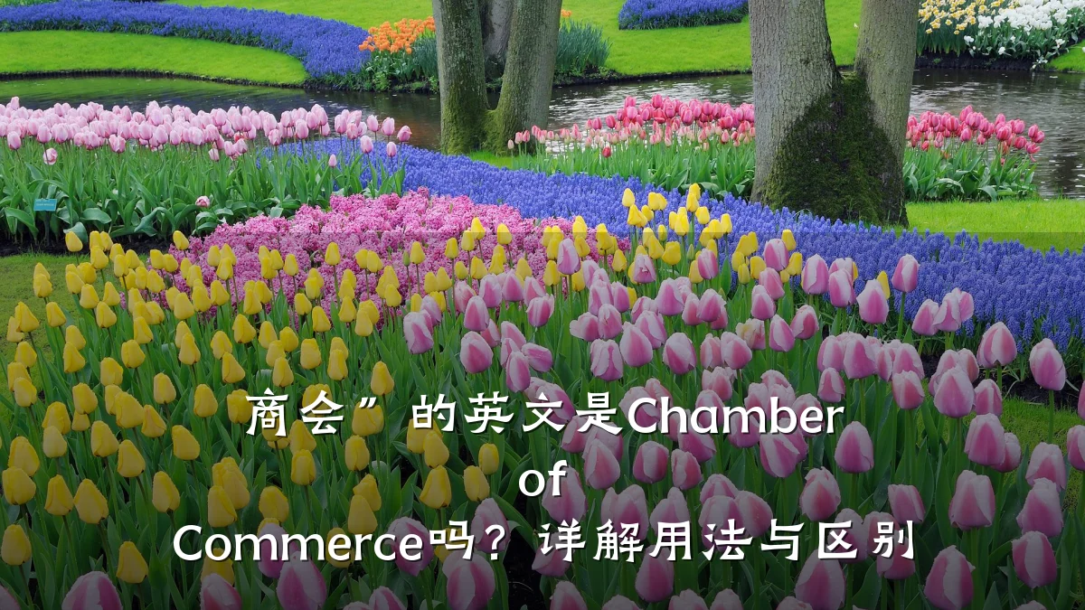 商会”的英文是Chamber of Commerce吗?详解用法与区别