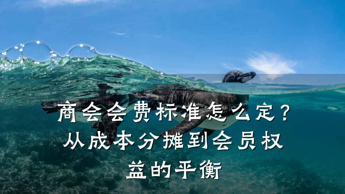商会会费标准怎么定?从成本分摊到会员权益的平衡