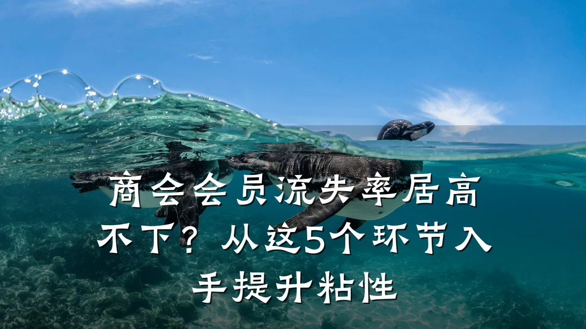 商会会员流失率居高不下?从这5个环节入手提升粘性
