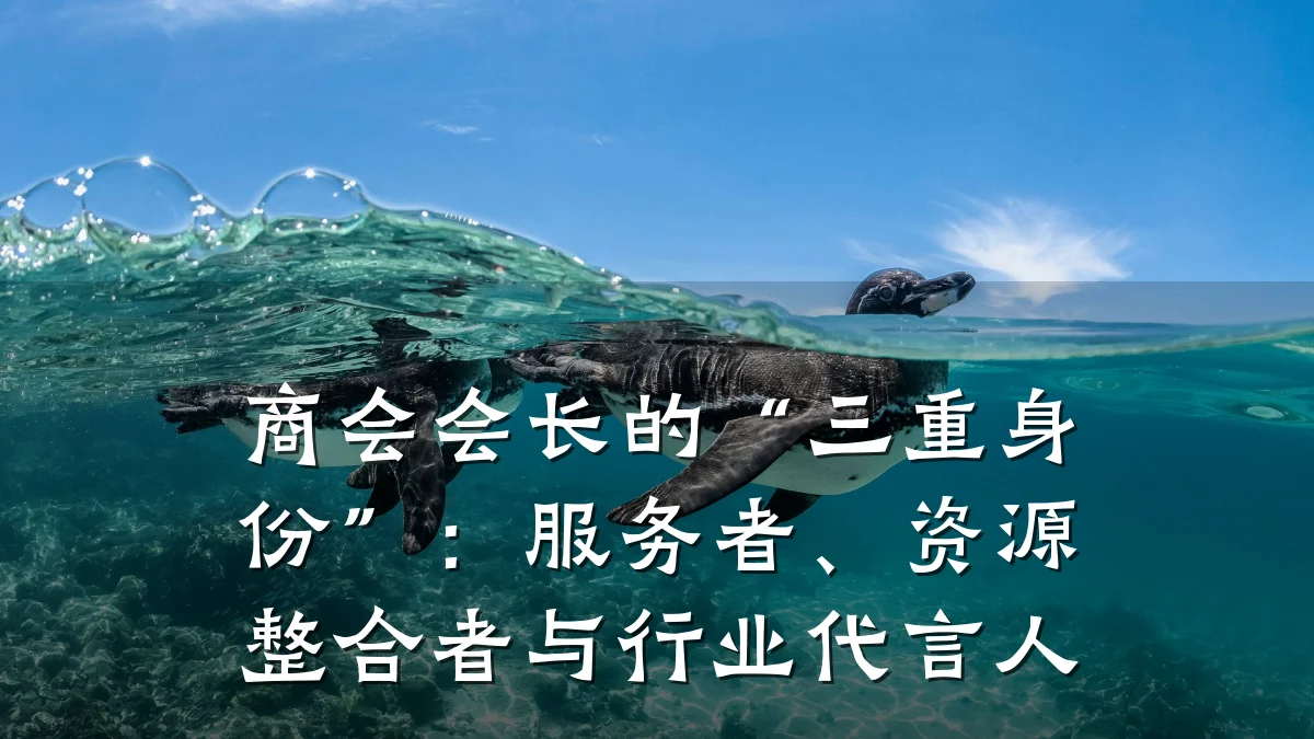 商会会长的“三重身份”:服务者、资源整合者与行业代言人