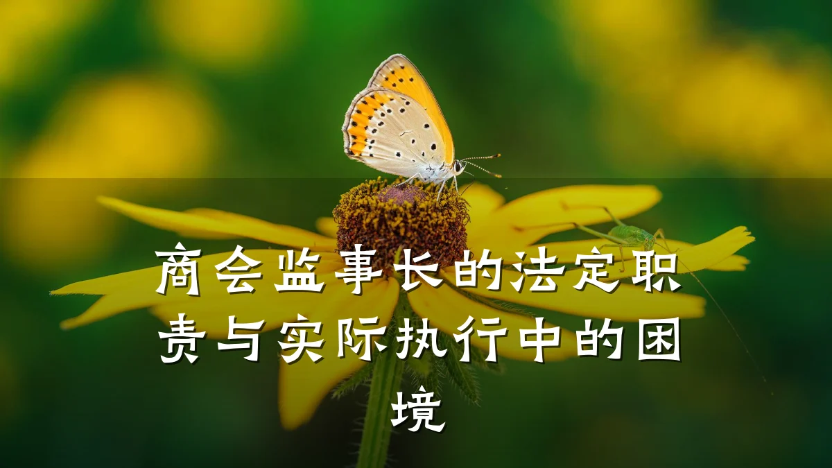 商会监事长的法定职责与实际执行中的困境