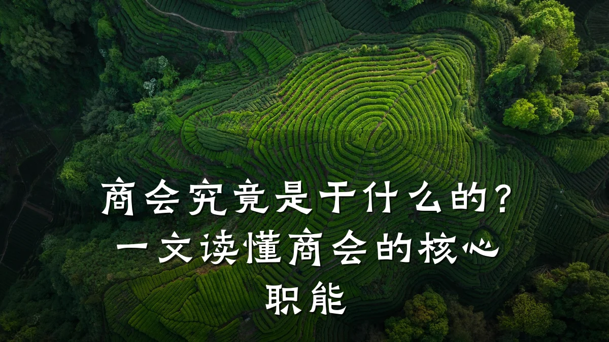 商会究竟是干什么的?一文读懂商会的核心职能