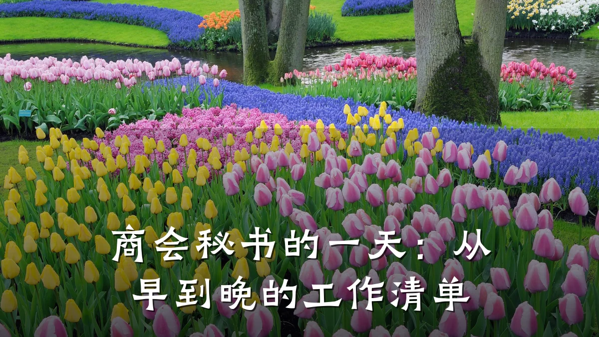 商会秘书的一天:从早到晚的工作清单