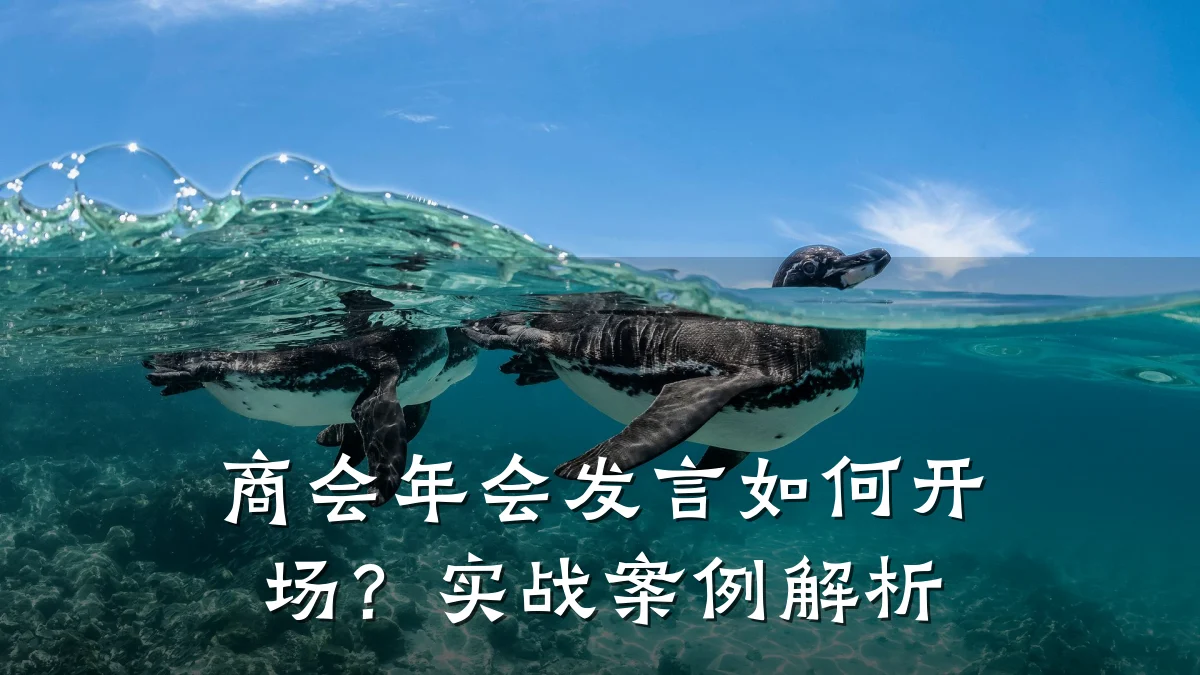 商会年会发言如何开场?实战案例解析
