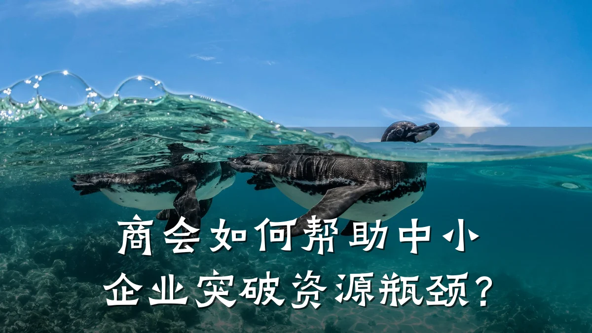 商会如何帮助中小企业突破资源瓶颈？