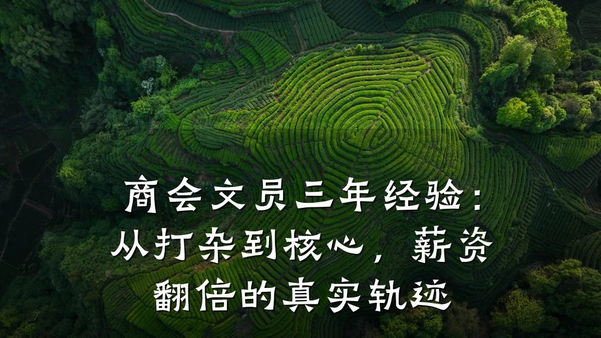 商会文员三年经验:从打杂到核心,薪资翻倍的真实轨迹