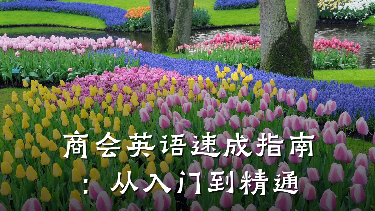 商会英语速成指南:从入门到精通