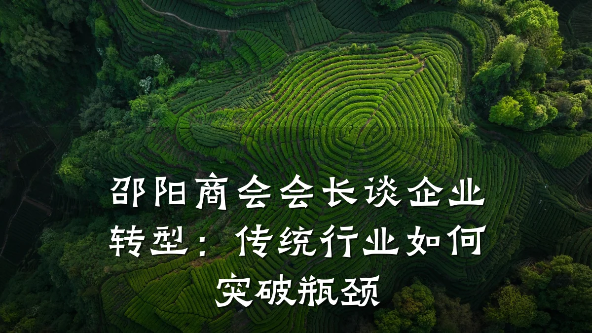 邵阳商会会长谈企业转型：传统行业如何突破瓶颈