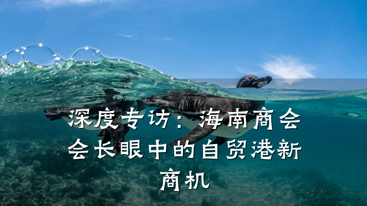 深度专访:海南商会会长眼中的自贸港新商机
