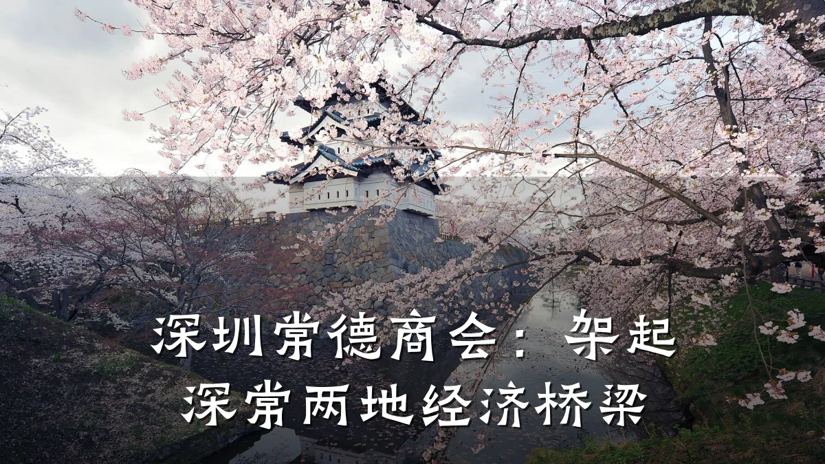 深圳常德商会:架起深常两地经济桥梁