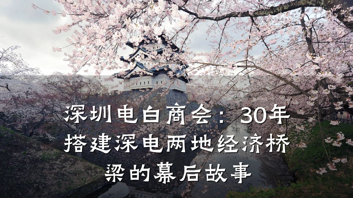 深圳电白商会:30年搭建深电两地经济桥梁的幕后故事