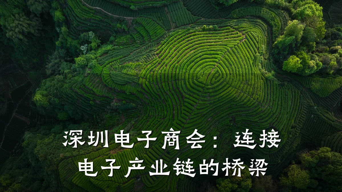 深圳电子商会:连接电子产业链的桥梁