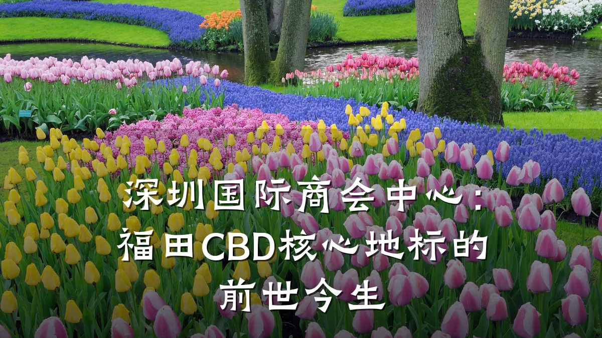 深圳国际商会中心:福田CBD核心地标的前世今生