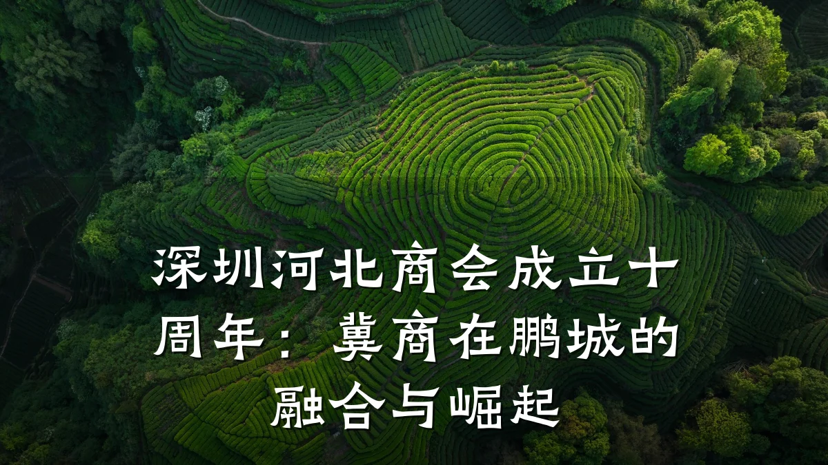 深圳河北商会成立十周年：冀商在鹏城的融合与崛起