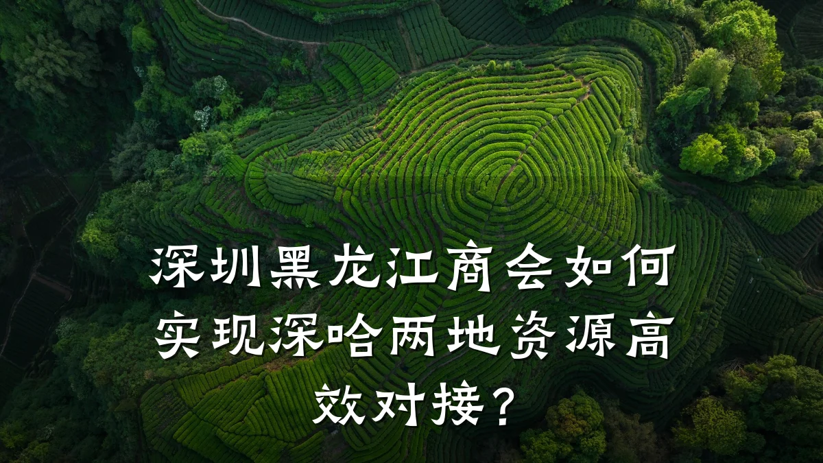 深圳黑龙江商会如何实现深哈两地资源高效对接?