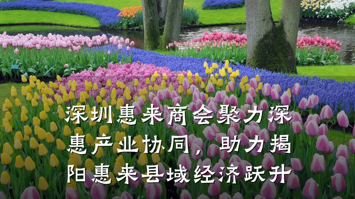 深圳惠来商会聚力深惠产业协同,助力揭阳惠来县域经济跃升