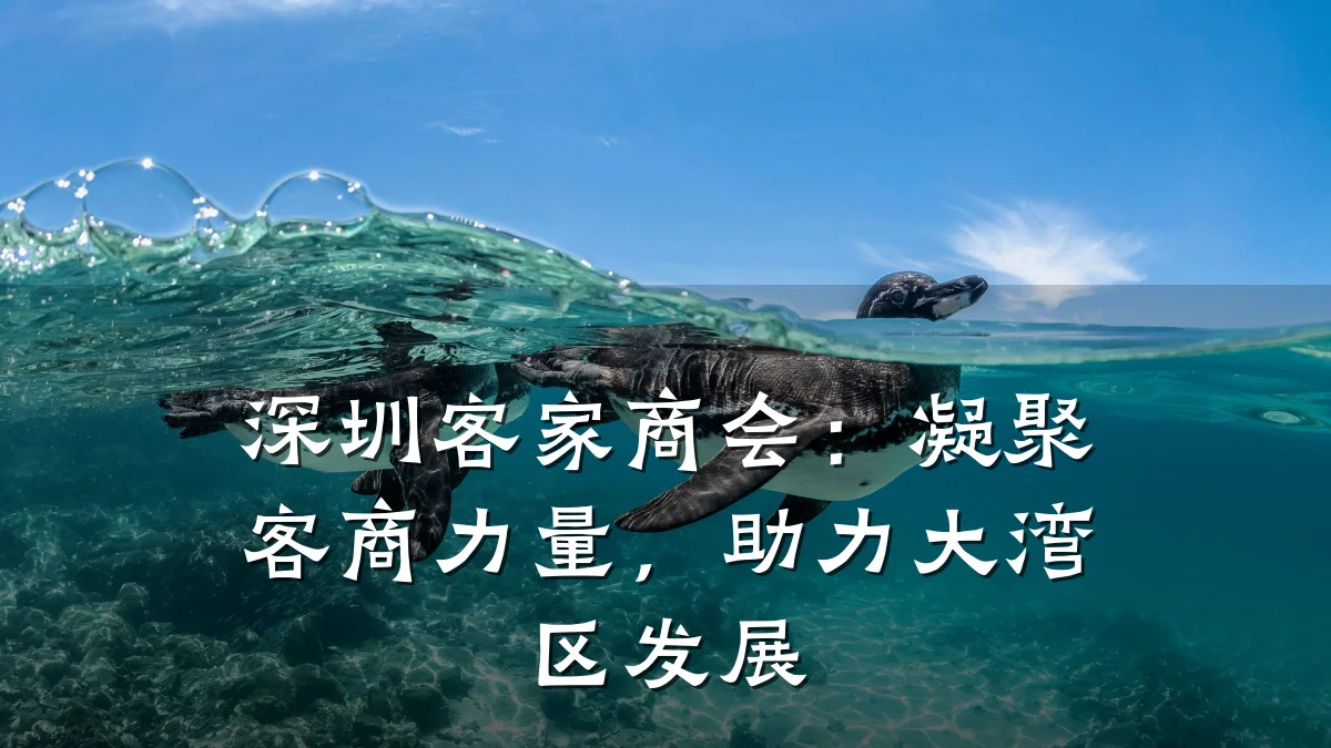 深圳客家商会:凝聚客商力量,助力大湾区发展