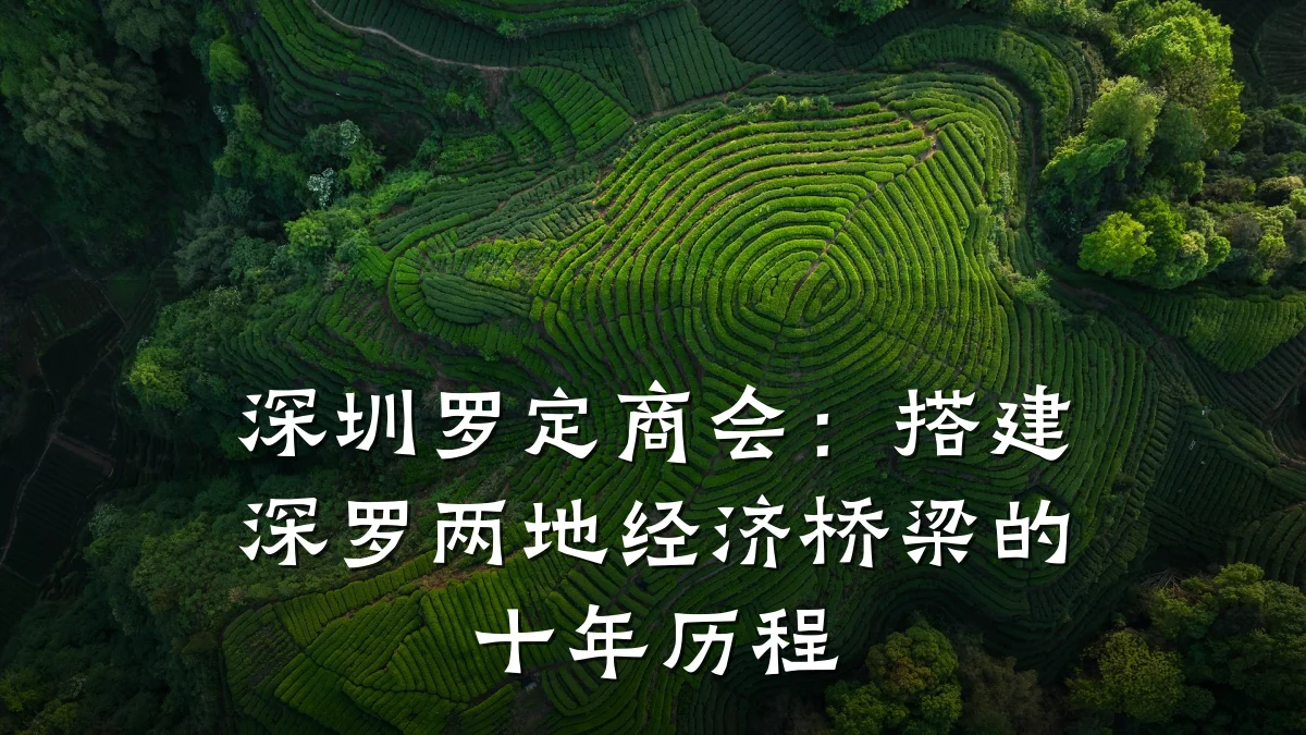 深圳罗定商会:搭建深罗两地经济桥梁的十年历程