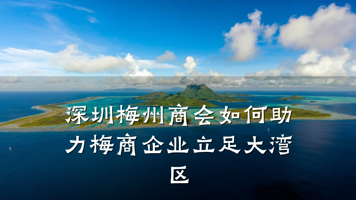 深圳梅州商会如何助力梅商企业立足大湾区