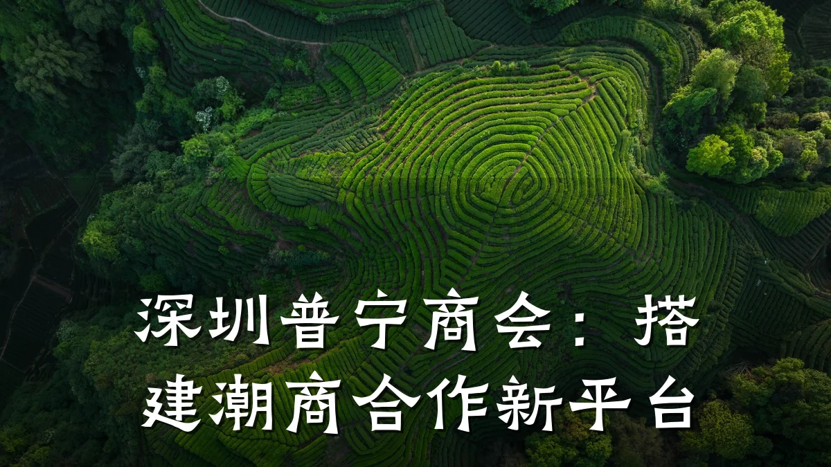 深圳普宁商会:搭建潮商合作新平台