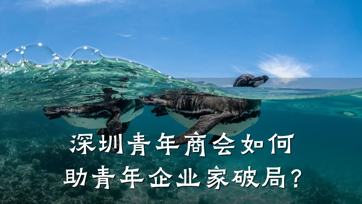 深圳青年商会如何助青年企业家破局?