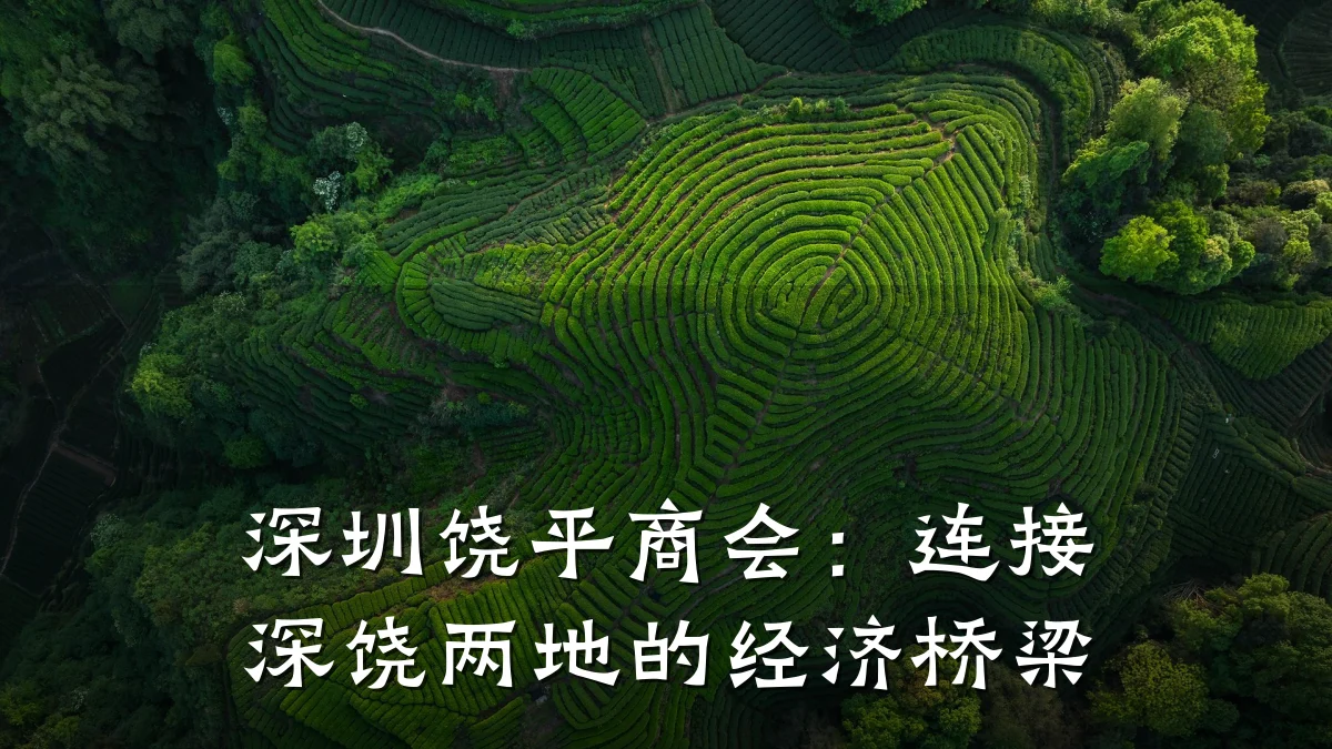 深圳饶平商会:连接深饶两地的经济桥梁
