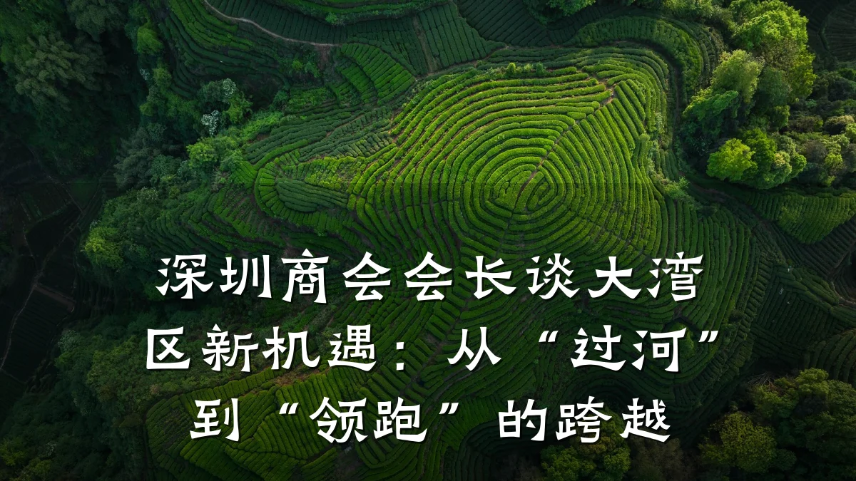 深圳商会会长谈大湾区新机遇:从“过河”到“领跑”的跨越