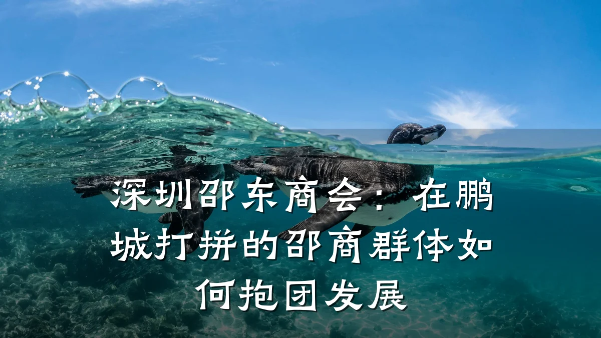 深圳邵东商会：在鹏城打拼的邵商群体如何抱团发展