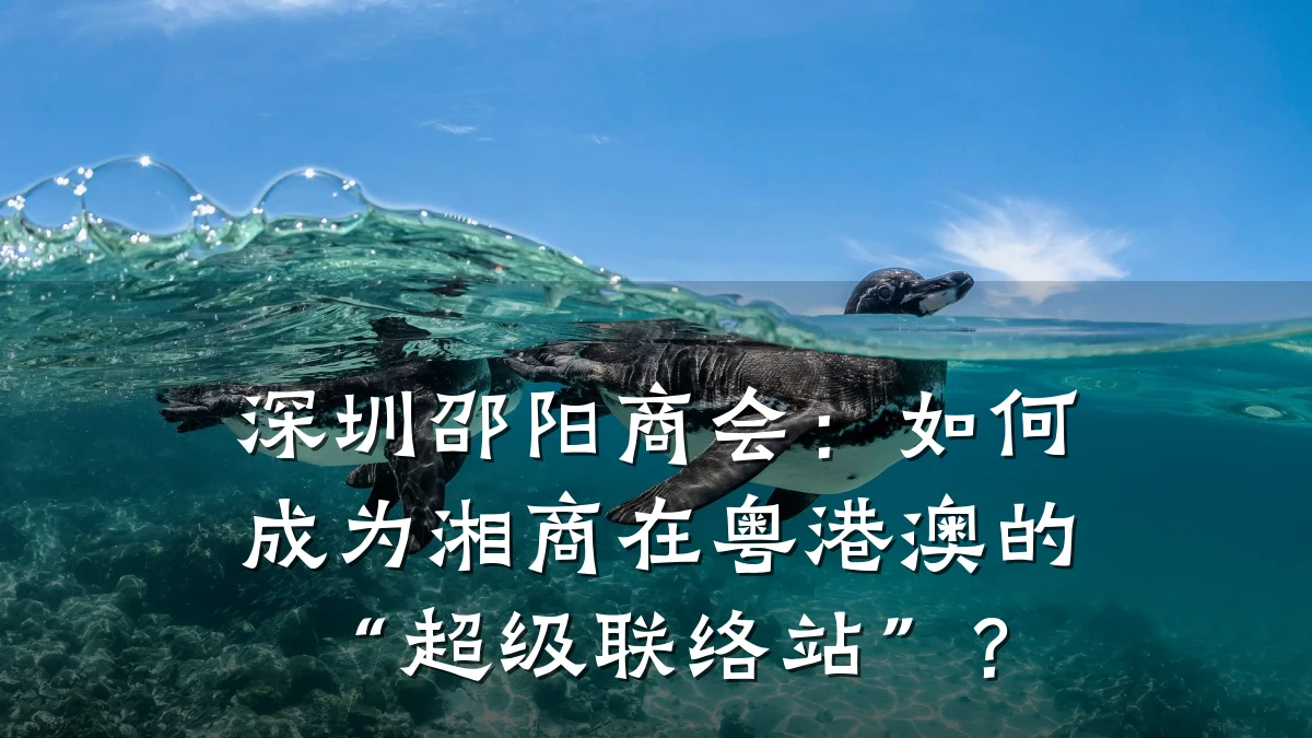 深圳邵阳商会:如何成为湘商在粤港澳的“超级联络站”?