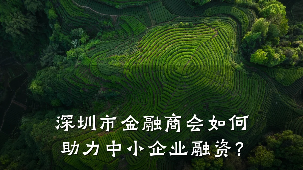 深圳市金融商会如何助力中小企业融资?