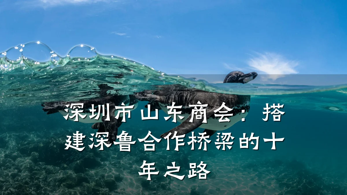 深圳市山东商会：搭建深鲁合作桥梁的十年之路