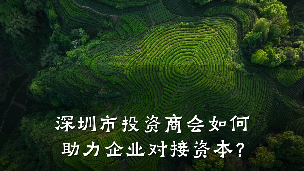 深圳市投资商会如何助力企业对接资本?