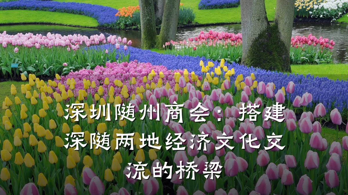 深圳随州商会:搭建深随两地经济文化交流的桥梁